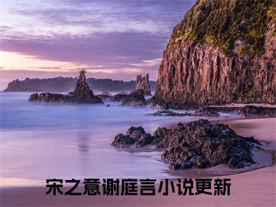 宋之意谢庭言(想加谢医生微信，他说不可以)全文免费阅读大结局_想加谢医生微信，他说不可以免费在线阅读无删减