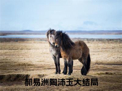 郝易洲陶沛玉全文免费阅读_（郝易洲陶沛玉免费阅读无弹窗）郝易洲陶沛玉最新章节在线阅读