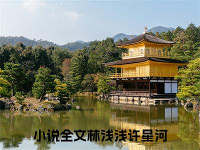 林浅浅许星河精彩章节小说-林浅浅许星河最新更新阅读