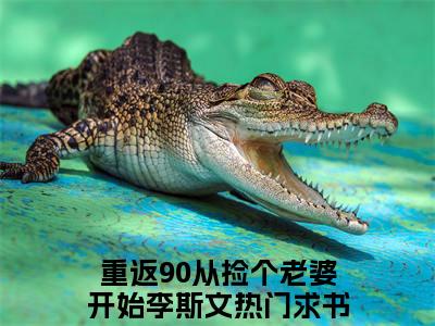 重返90从捡个老婆开始李斯文全文免费阅读无弹窗-重返90从捡个老婆开始李斯文小说全文在线赏析_笔趣阁（重返90从捡个老婆开始李斯文）