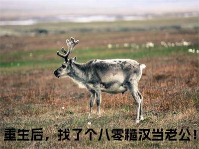 重生后，找了个八零糙汉当老公！(程招薄长柏）小说全文免费阅读无弹窗大结局_程招薄长柏全文免费阅读