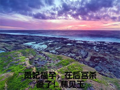 贵妃福孕，在后宫杀疯了！林见玉(贵妃福孕，在后宫杀疯了！林见玉)全文免费阅读无弹窗大结局_(贵妃福孕，在后宫杀疯了！林见玉免费阅读全文大结局)最新章节列表_笔趣阁（贵妃福孕，在后宫杀疯了！林见玉）