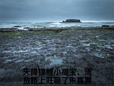 天降锦鲤小福宝，流放路上旺疯了朱喜喜在线阅读（天降锦鲤小福宝，流放路上旺疯了朱喜喜小说）全文免费阅读无弹窗大结局_天降锦鲤小福宝，流放路上旺疯了朱喜喜免费最新章节列表_笔趣阁（天降锦鲤小福宝，流放路上旺疯了朱喜喜小说）