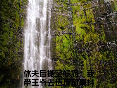 休夫后搬空候府：我带王爷去造反郁璃小说最新章节阅读-小说（休夫后搬空候府：我带王爷去造反郁璃）已完结小说精彩大结局