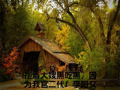 《抱着大嫂黑吃黑，因为我官二代！李阳》全文免费阅读无弹窗大结局_抱着大嫂黑吃黑，因为我官二代！李阳无弹窗全文阅读
