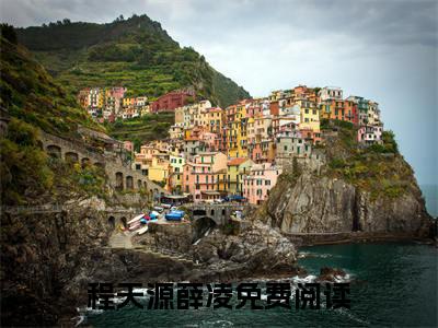 程天源薛凌(程天源薛凌)全文免费阅读无弹窗大结局_程天源薛凌完整版在线阅读章节列表_笔趣阁