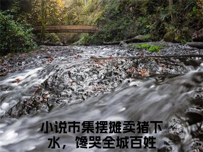 市集摆摊卖猪下水，馋哭全城百姓（闻真一沈寒星）全文免费阅读无弹窗大结局_市集摆摊卖猪下水，馋哭全城百姓全文免费阅读（闻真一沈寒星）最新章节列表