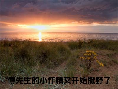 傅先生的小作精又开始撒野了（傅君辞苏慕晚）全文免费阅读_（傅君辞苏慕晚）傅先生的小作精又开始撒野了最新章节小说免费阅读_笔趣阁