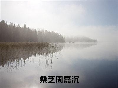 桑芝周嘉沉小说哪里能看-小说推荐桑芝周嘉沉精彩章节在线阅读