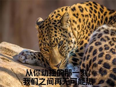 【新书】宋佳蕊周若博全文全章节免费阅读-从你动摇的那一刻，我们之间再无可能小说免费阅读无弹窗最新章节列表