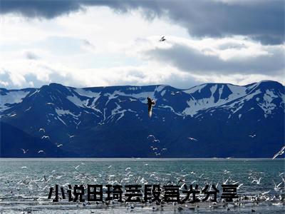 田琦芸段言光小说_田琦芸段言光全文阅读_小说免费阅读最新章节列表(田琦芸段言光)笔趣阁