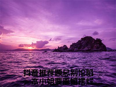 盛诗音顾景琛全文免费阅读无弹窗-（盛诗音顾景琛）顾总别沦陷，本小姐要离婚摆烂小说全文在线阅读笔趣阁