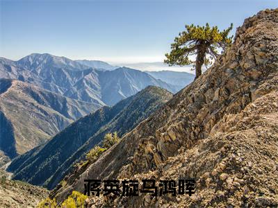 蒋英旋马鸿晖是什么小说-（蒋英旋马鸿晖全文阅读）最新章节列表