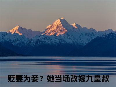 贬妻为妾？她当场改嫁九皇叔（林云汐楚宴晔）全文免费阅读无弹窗大结局_林云汐楚宴晔（贬妻为妾？她当场改嫁九皇叔免费阅读）_笔趣阁