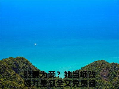 林云汐楚宴晔:贬妻为妾？她当场改嫁九皇叔全文免费阅读无弹窗大结局_林云汐楚宴晔:贬妻为妾？她当场改嫁九皇叔免费阅读