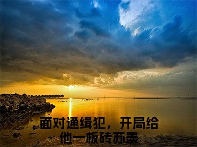 面对通缉犯，开局给他一板砖苏墨抖音新书热门热荐- 面对通缉犯，开局给他一板砖苏墨小说在线观看
