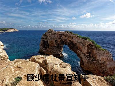 顾少虞杜景宜（顾少虞杜景宜）全文免费阅读大结局-顾少虞杜景宜完整版无弹窗
