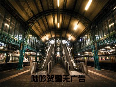 陆吟贺霆（陆吟贺霆）最新热门小说-陆吟贺霆免费阅读