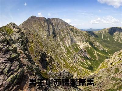 苏锦婉萧禹小说(苏锦婉萧禹)全文免费阅读无弹窗大结局_(苏锦婉萧禹免费阅读全文大结局)最新章节列表_笔趣阁（苏锦婉萧禹）