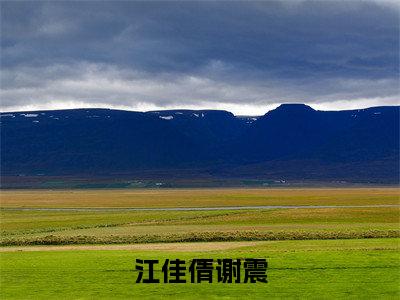 热文江佳倩谢震小说全文阅读_亲错了，那可是活阎王（江佳倩谢震）全文免费阅读最新章节列表