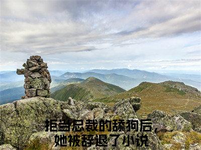 周寒之孟南絮（拒当总裁的舔狗后，她被辞退了小说）全文免费阅读无弹窗大结局_拒当总裁的舔狗后，她被辞退了完整版小说阅读