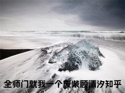 全师门就我一个废柴顾清汐小说在线阅读全文免费阅读无弹窗大结局_全师门就我一个废柴顾清汐小说免费最新章节列表_笔趣阁