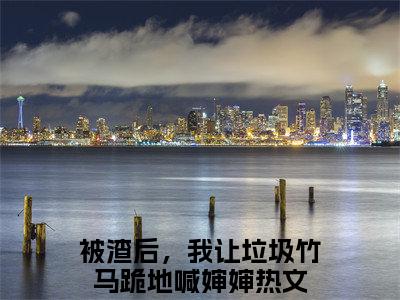 黎洛谢辞年（被渣后，我让垃圾竹马跪地喊婶婶）全文免费阅读无弹窗大结局_被渣后，我让垃圾竹马跪地喊婶婶全文在线阅读