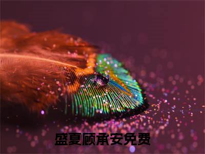 盛夏顾承安(盛夏顾承安)全文免费阅读无弹窗大结局_盛夏顾承安免费阅读最新章节列表_笔趣阁（盛夏顾承安）
