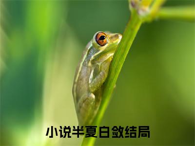 半夏白敛小说（半夏白敛）完整版阅读-半夏白敛小说全文无删减版