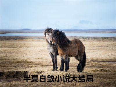 半夏白敛全网首发小说- 半夏白敛美文无删阅读