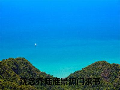 沈念乔陆淮景（沈念乔陆淮景）免费阅读完整版-沈念乔陆淮景全文大结局已完结