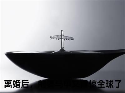 顾南音陆予寒全文免费阅读无弹窗,离婚后，前妻马甲又震惊全球了小说最新章节列表无删减_笔趣阁