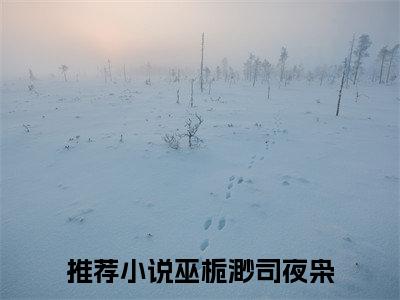 巫栀渺司夜枭（巫栀渺司夜枭）全文免费阅读无弹窗大结局_(巫栀渺司夜枭小说免费阅读)_笔趣阁