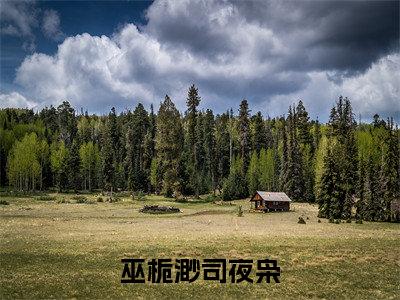 巫栀渺司夜枭全文免费大结局 巫栀渺司夜枭小说在线阅读