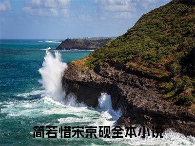 简若惜宋京砚小说（简若惜宋京砚）全文免费阅读无弹窗大结局_简若惜宋京砚（简若惜宋京砚小说）最新章节列表_笔趣阁（简若惜宋京砚）