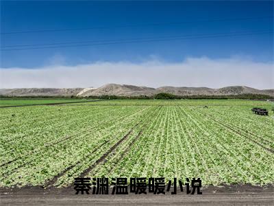 秦渊温暖暖小说大结局免费阅读-（秦渊温暖暖）抖音新上热文分享秦渊温暖暖