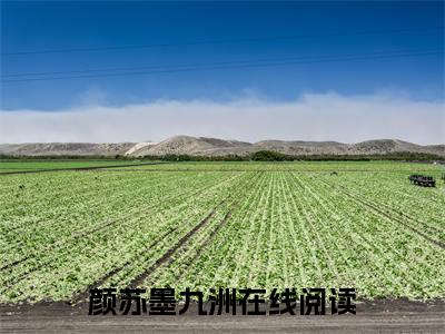 颜苏墨九洲全文（颜苏墨九洲免费阅读）全文免费阅读无弹窗大结局_颜苏墨九洲最新章节列表_笔趣阁（颜苏墨九洲免费阅读）