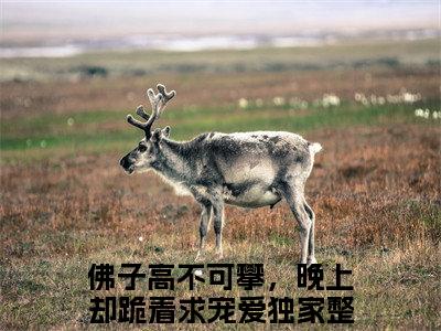 南初商凛（大结局小说全集完整版）佛子高不可攀，晚上却跪着求宠爱小说_南初商凛全文阅读笔趣阁