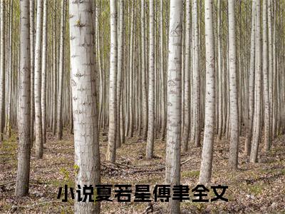 夏若星傅聿无删减（夏若星傅聿）全文免费阅读无弹窗大结局_夏若星傅聿最新章节列表（夏若星傅聿）