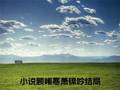 顾崤寒萧锦吟（顾崤寒萧锦吟）免费阅读-顾崤寒萧锦吟小说免费观看