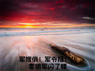 江宁秦九烈(军嫂俏！军爷糙！八零随军闪了腰)小说精彩免费内容_江宁秦九烈最新章节全文阅读（军嫂俏！军爷糙！八零随军闪了腰）