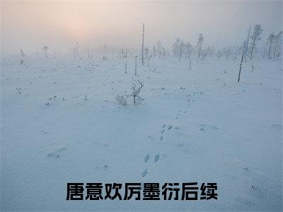 唐意欢厉墨衍夫人厉总他又吃醋了正版美文欣赏 夫人厉总他又吃醋了小说全文完整版免费阅读