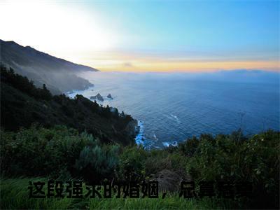 江心棠慕寒年这段强求的婚姻，总算落奠正版小说全文阅读 这段强求的婚姻，总算落奠全文免费完整版