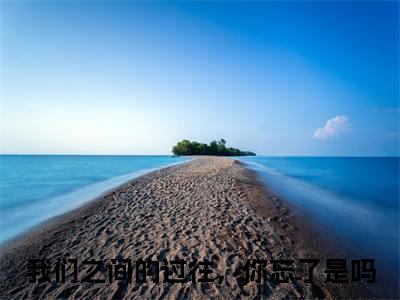 桑初禾傅韫北（我们之间的过往，你忘了是吗）全文免费阅读无弹窗大结局_（我们之间的过往，你忘了是吗）全文最新章节列表
