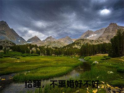 【全文】《给睡，不离婚好不好》小说txt在线阅读_(给睡，不离婚好不好全章节)-给睡，不离婚好不好_沈岁柠慕霖在线阅读