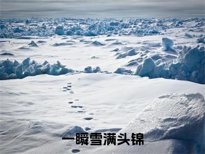 锦梦南星（一瞬雪满头锦）是什么小说-（一瞬雪满头锦）无弹窗免费阅读大结局最新章节列表_笔趣阁