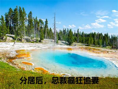 崔安宁季深免费小说全文免费阅读无弹窗大结局_分居后，总裁疯狂追妻完结版在线阅读