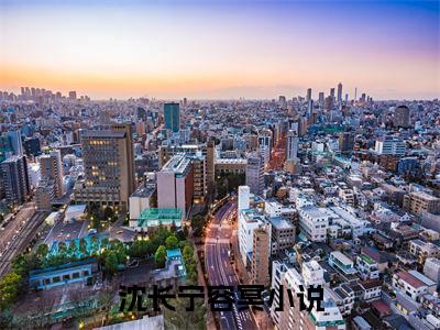 沈长宁容冥正版小说最新章节在线阅读-小说沈长宁容冥已完结全集大结局