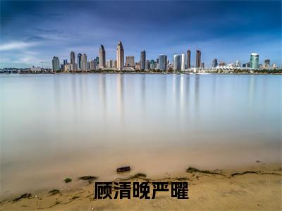 顾清晚严曜在线阅读全文 (顾清晚严曜免费大结局)小说无弹窗广告