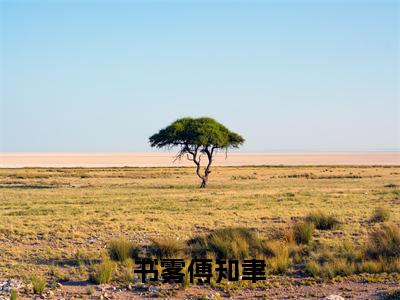 书雾傅知聿小说全文阅读无弹窗大结局_（书雾傅知聿）最新章节列表_笔趣阁